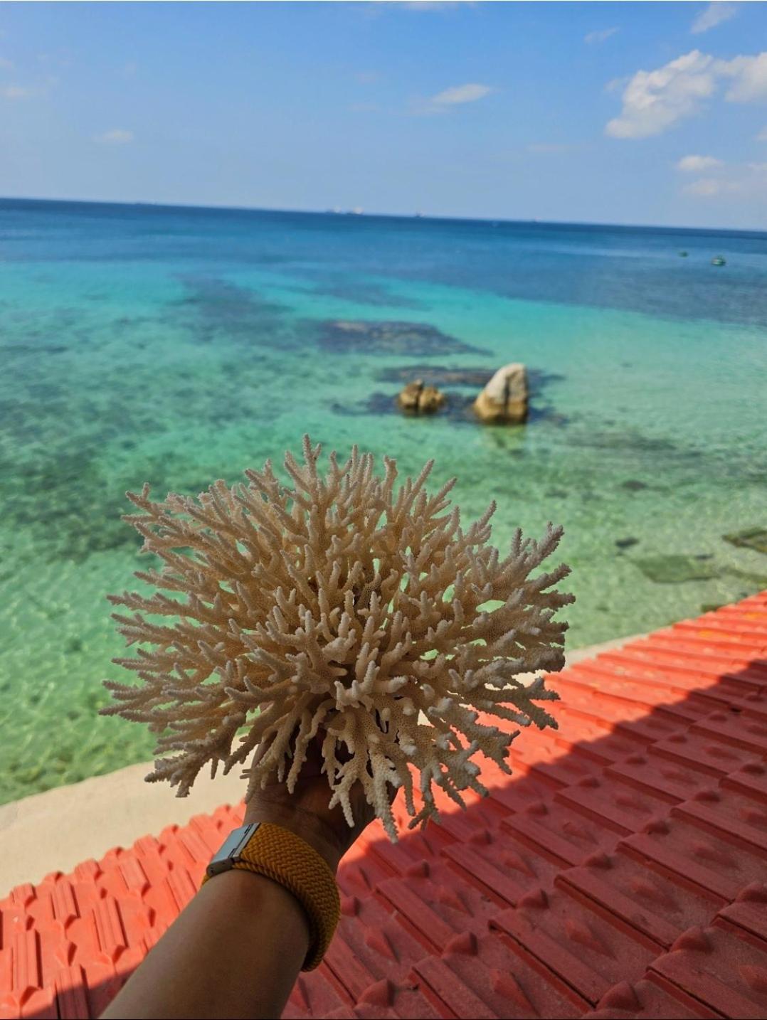 Mui Dinh Hotel Phan Rang Eksteriør billede