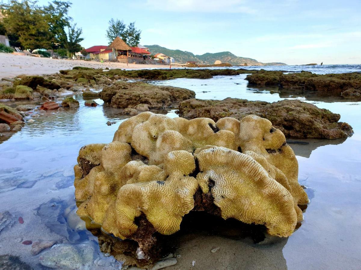 Mui Dinh Hotel Phan Rang Eksteriør billede